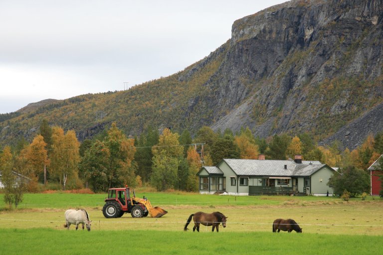 Subarctic agriculture in northern Norway is the world’s northernmost farming. The growing season is short and intense, with significant differences between coastal regions and the inland areas. In inner Finnmark, the season lasts 100 days, while in the outer coastal areas of Nordland, it extends to 180 days. Photo: Oskar Puschmann / NIBIO