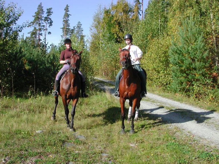 Friluftsliv - hest - Foto Svein Skøien - NIBIO