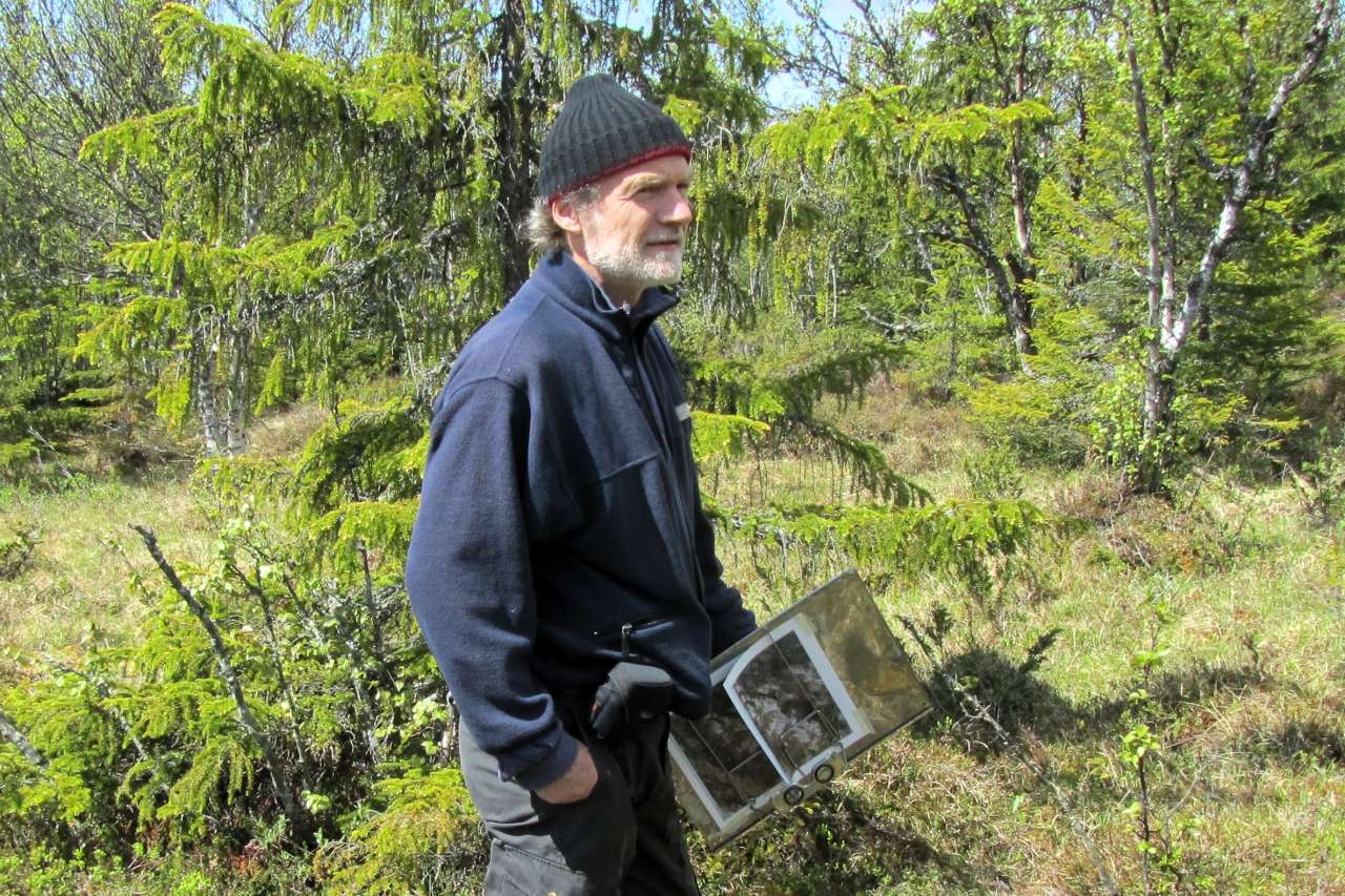 Befaring rikmyr HPK YNR GHS_Skjæringfjell_Ringebu_19062012_MIA_cropped