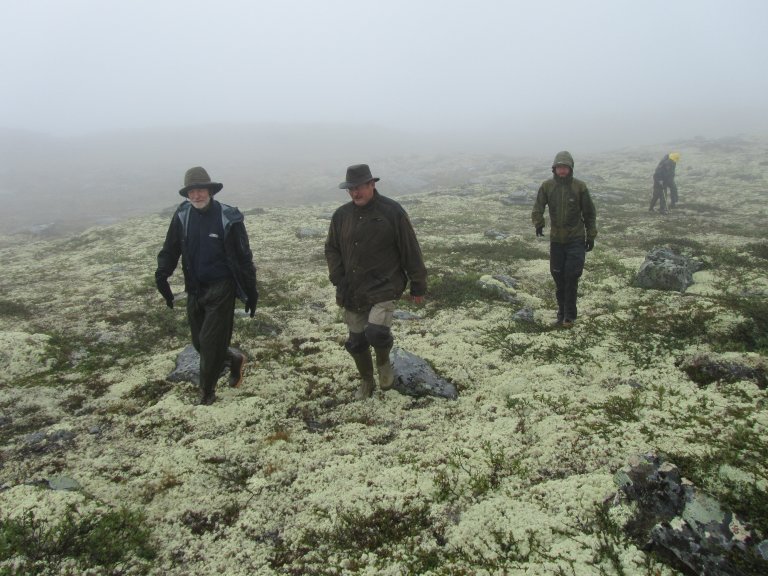 Befaring i tåke YNR Ole N LES PKB HPK2_Veslnøsen_Oppdal_12082013_MIA.jpg