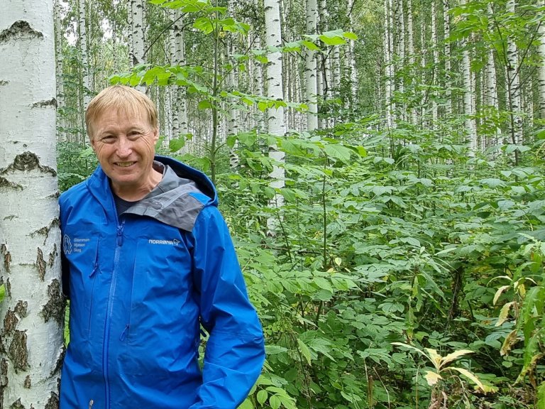 Hengebjørk har evne til å binde store mengder CO2 på kort tid, forklarer Geir Korsvold i Glommen Mjøsen Skog. På kalkrike marker under 400 meter over havet binder hengebjørk dobbelt så mye CO2 som grana de første 20-30 årene. Det gir et enormt potensial for hurtig karbonfangst. Foto: Privat