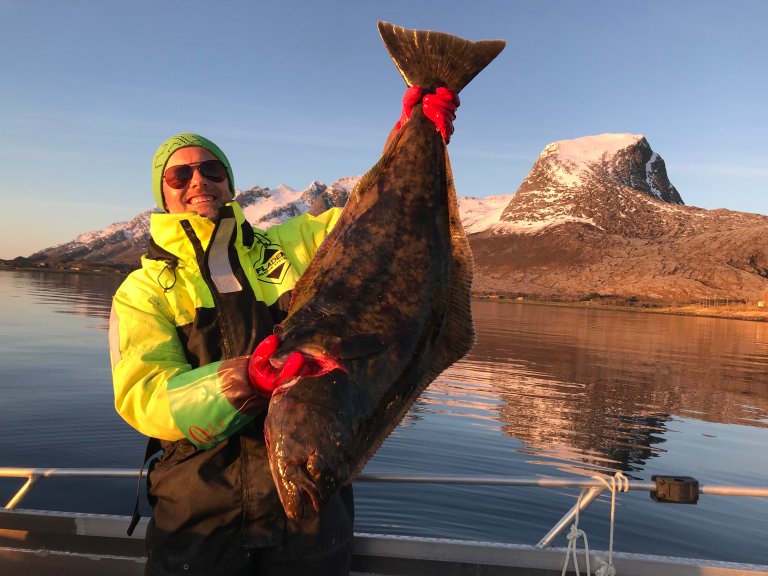I Nord-Norge har kveita høy status i jula. Og den skal helst være fersk. Foto: Liv Jorunn Hind