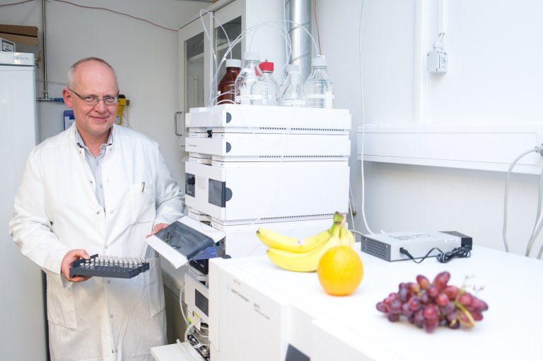 Både norske og utenlandsk mat, som frukt og grønt, bli analysert for plantevernmidler på NIBIO i regi av Mattilsynets overvåkingsprogram.  Foto: Erling Fløistad