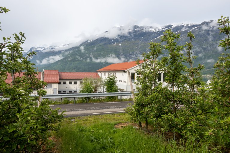 I Lofthus i Hardanger er en kommune med mye fruktdyrking. Her ligger frukthagene svært tett på bebyggelsen – som blant annet den lokale skolen. Foto: Hege Ulfeng