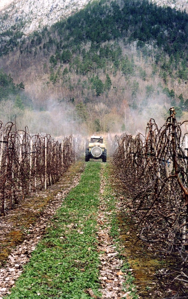 Avdrift, spesielt fra tåkesprøyting i fruktdyrking har et potensial for eksponering av plantevernmidler til nærliggende områder. Foto: Finn Måge