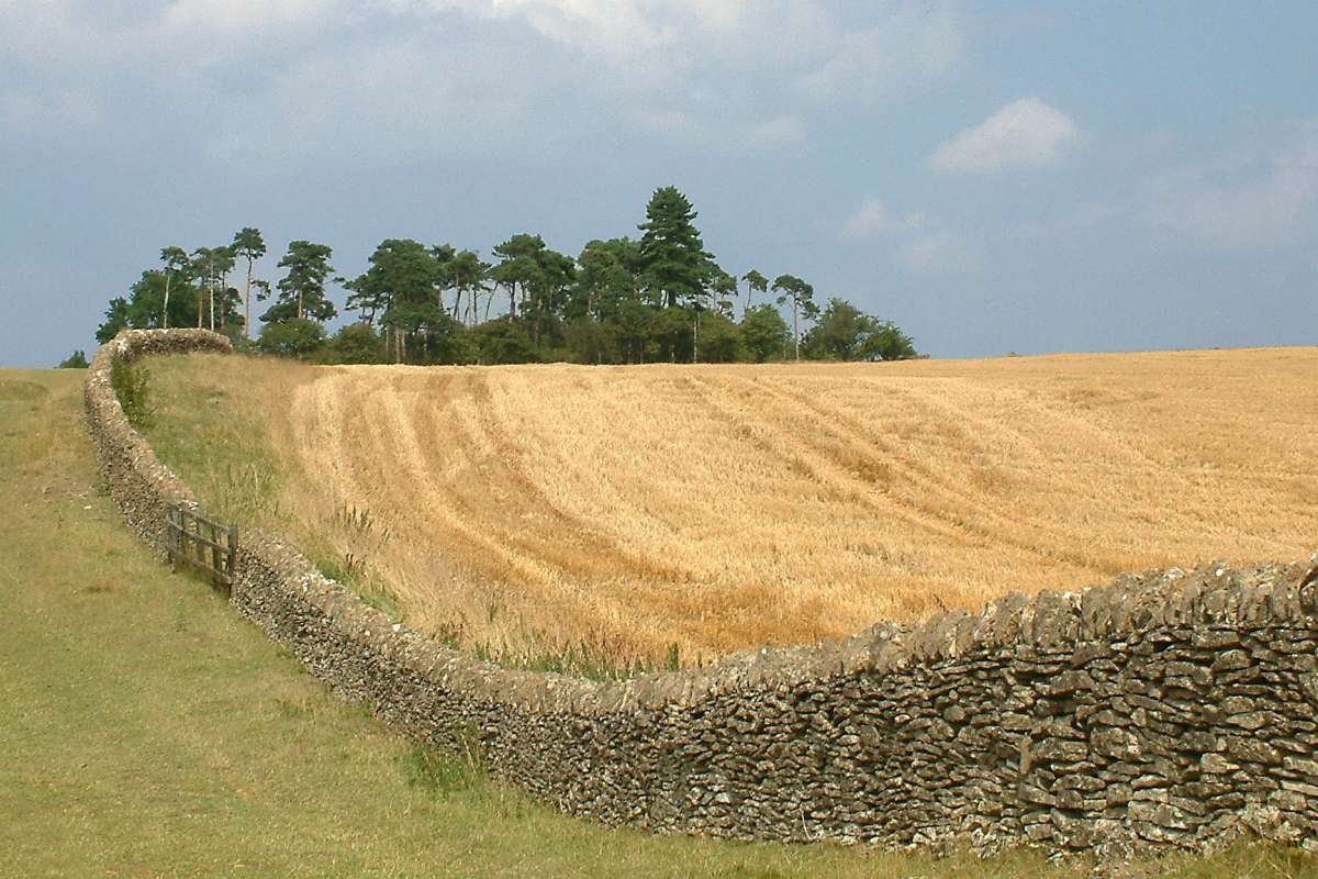 Limestone_wall_on_Bredon_Hill_cropped