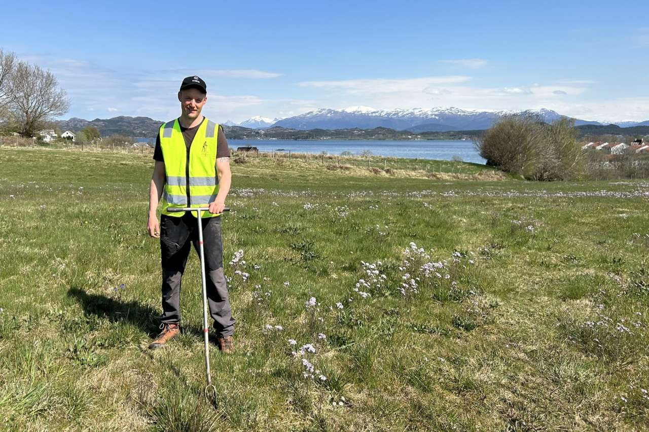 Sølve_Stiauren_Stord_2024_fotoEllingMjaavatn_cropped