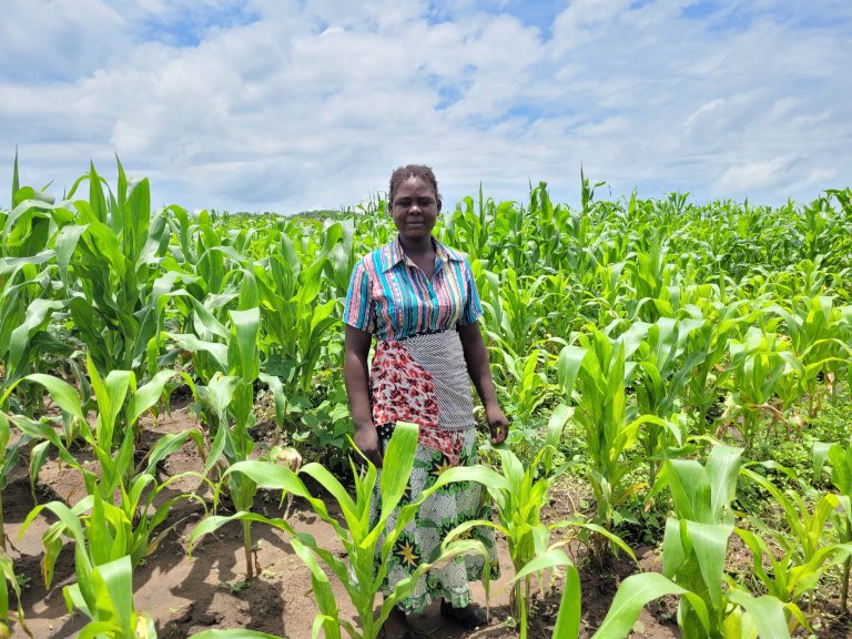 I Malawi i søraust-Afrika produserer småbønder omtrent 80 prosent av maten. Foto: MaDiPHS