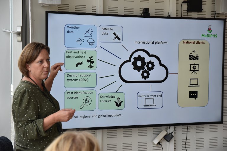 Berit Nordskog Service fortel at prosjektet har som mål å utvikle ein digital plantehelseteneste på nasjonalt nivå i Malawi. Den omfattande plattforma vil vere basert på koordinering av internasjonalt utvikla digitale system, mellom anna VIPS-varslingsteneste frå NIBIO, og gje målretta og effektiv skadedyr- og sjukdomsforvaltning av utvalde avlingar i det afrikanske landet.   Foto: Siri Elise Dybdal