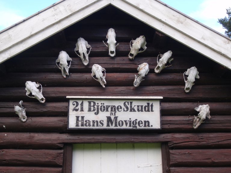 21bjørne-skudt.jpg