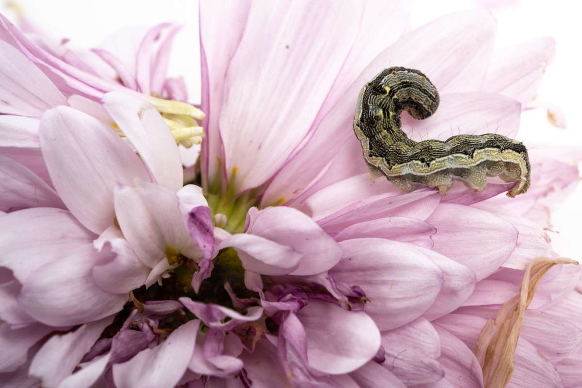 erfl-20221221-114936