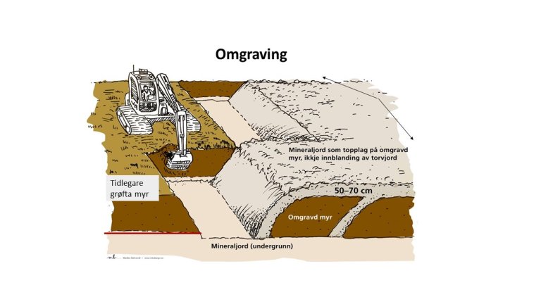 ​  Skisseteikninga syner prinsippet for omgraving av myr (torvjord). Organisk jord vert lagt i botnen, mineraljord vert lagt på toppen og i skråstilte lag som drenerer. Omgraving bør kombinerast med profilering. Etter småskrift 4/90. Drenering III. Revidert teikning: Madelen Berent