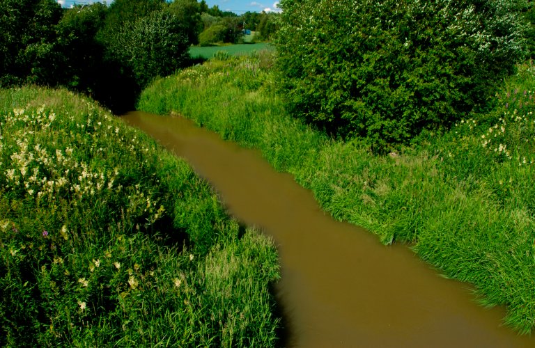Mye gjødsel og intensiv jordarbeiding gjør at fosfor og jordpartikler lett renner ut i bekker og innsjøer. Dette fører til algeoppblomstring og oksygenmangel i vannet. Foto: Ove Bergersen
