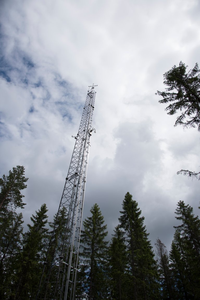 Måletårnet i Hurdal - Foto Lars Sandved Dalen - NIBIO.jpg