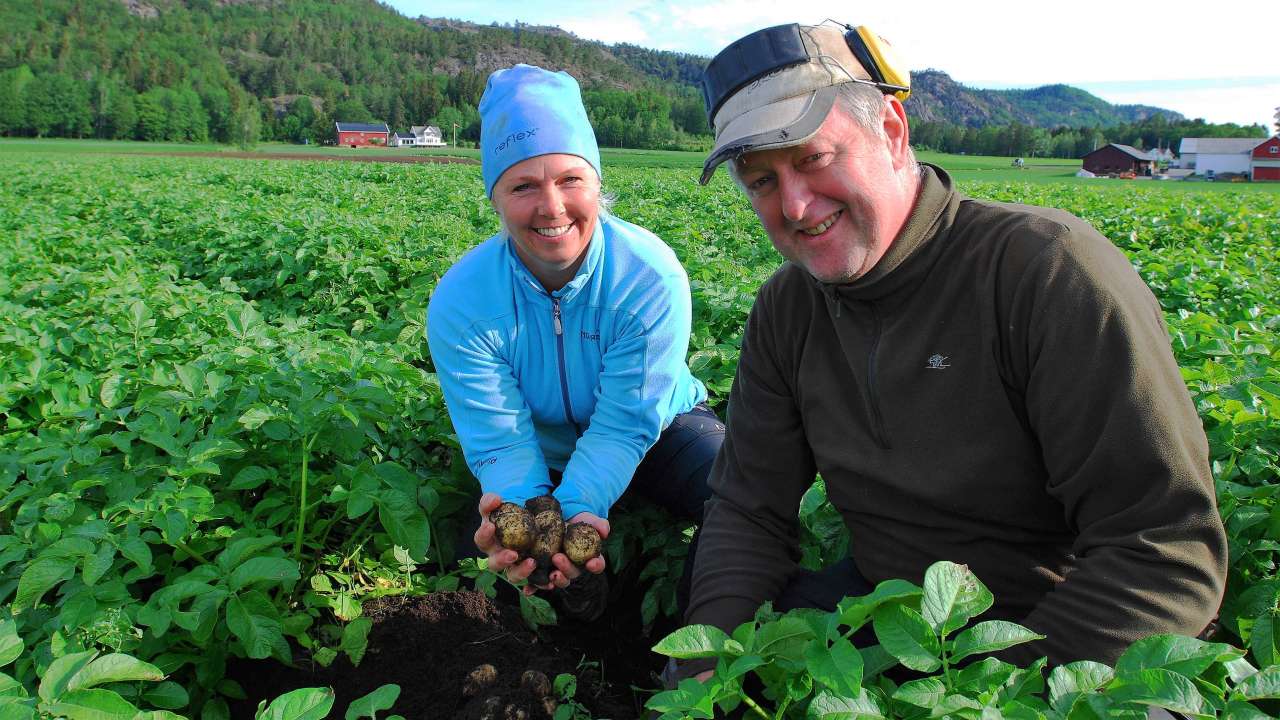 potet hovedbilde gurine og knut ove seland.foto o.hetland_cropped