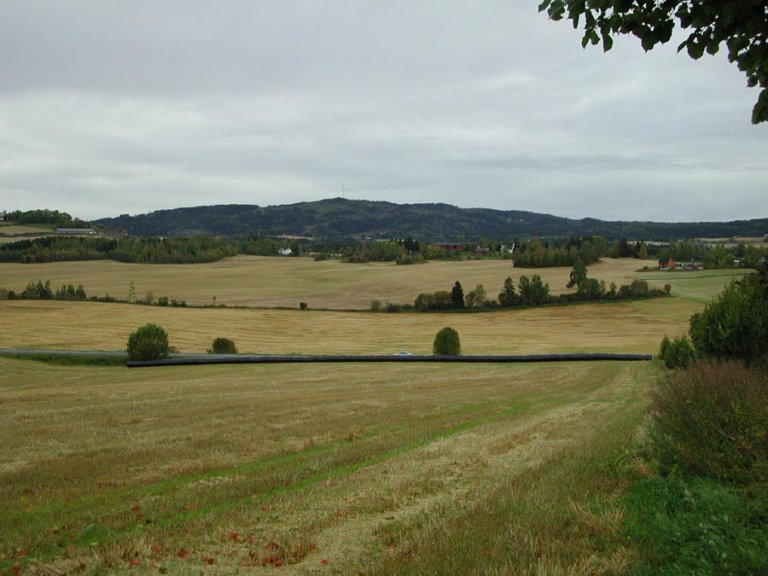 høstlandskap-lett kol.jpg