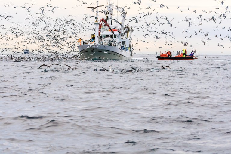 hillersoy_herring_fishing_hires_tiff_140207_5F7P9941.jpg