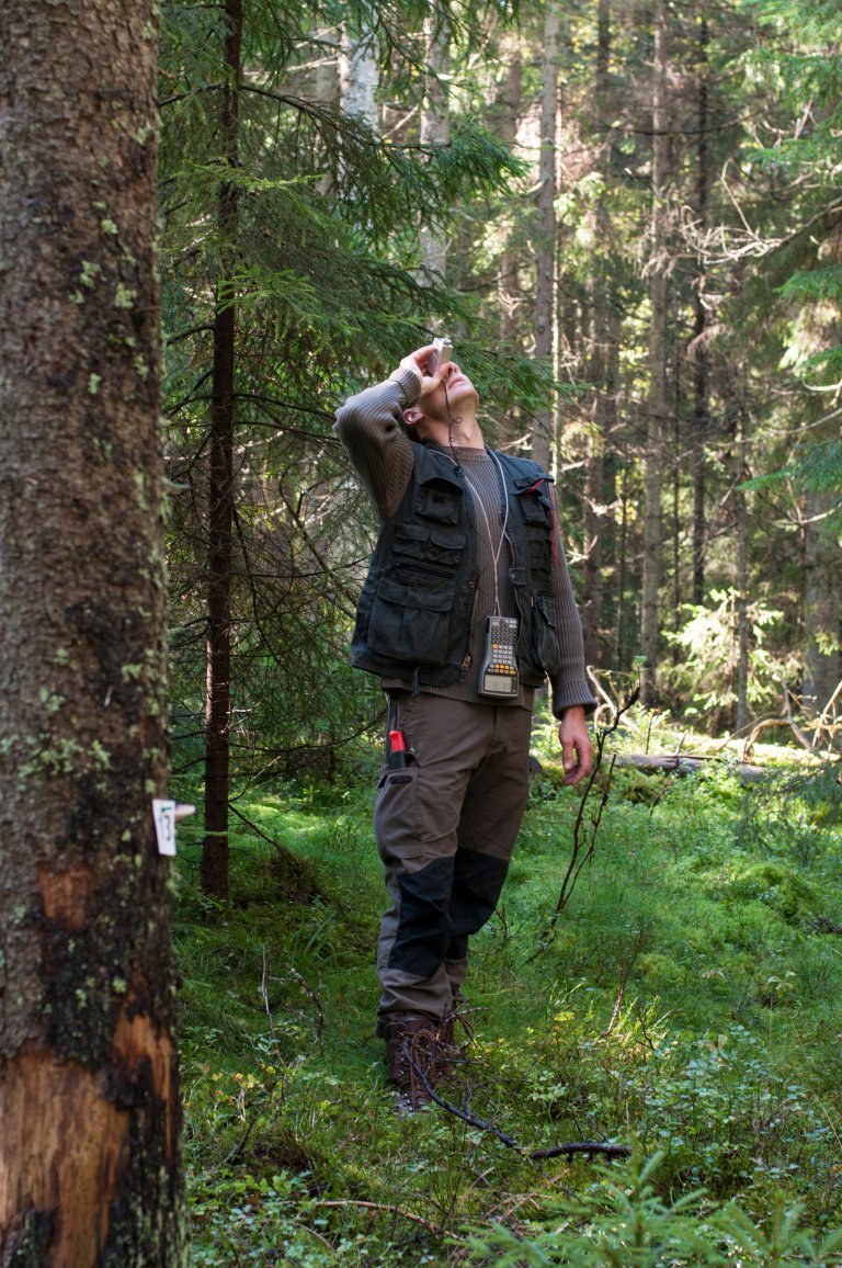 bilde 3 - måling av trehøyde - foto lars sandved dalen - nibio.jpg