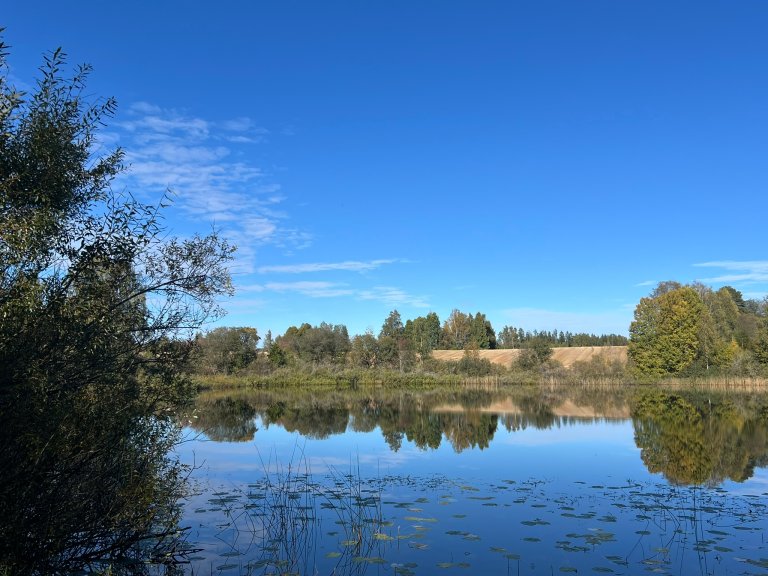 Fosfortap til ferskvann er et problem fordi det kan føre til overgjødsling av innsjøer og elver, noe som igjen kan gi oppblomstring av alger. Foto: Kathrine Torday Gulden