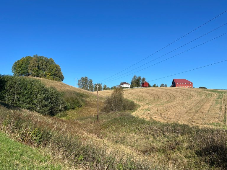 Mørdre overvåkingsfelt ligger i Nes kommune i Akershus. Nedbørfeltet ble valgt fordi det er representativt for korndyrkningsområdene på Romerike og deler av Østlandet. Overvåkingen av feltet startet på tidlig 1990-tall. Foto: Kathrine Torday Gulden