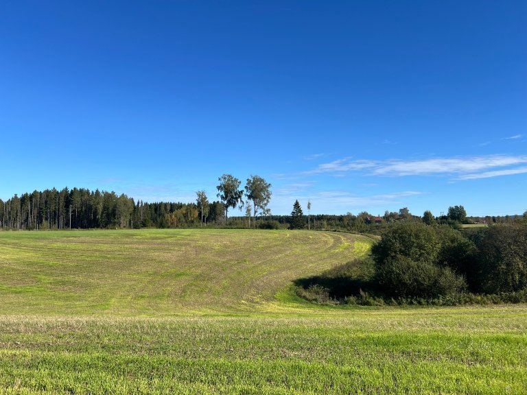 Det norske studieområdet til SOILPROM ligger på en gård i Nes kommune på Romerike, cirka 50 km nordøst for Oslo. Her er det fosfortap fra jordbruksarealene til ferskvann som utgjør den største utfordringen. Foto: Kathrine Torday Gulden