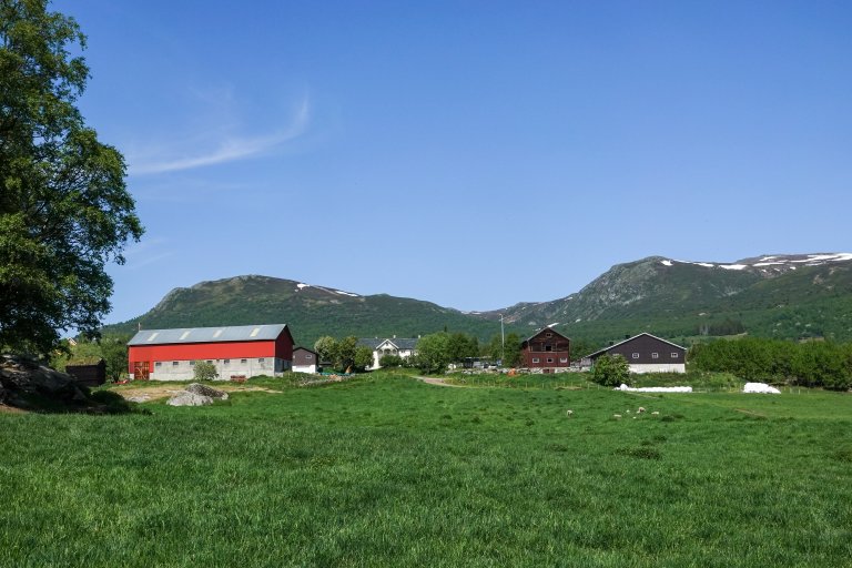 Gården til sauebonde Nils Petter Hårstad i Oppdal. Foto: Morten Günther