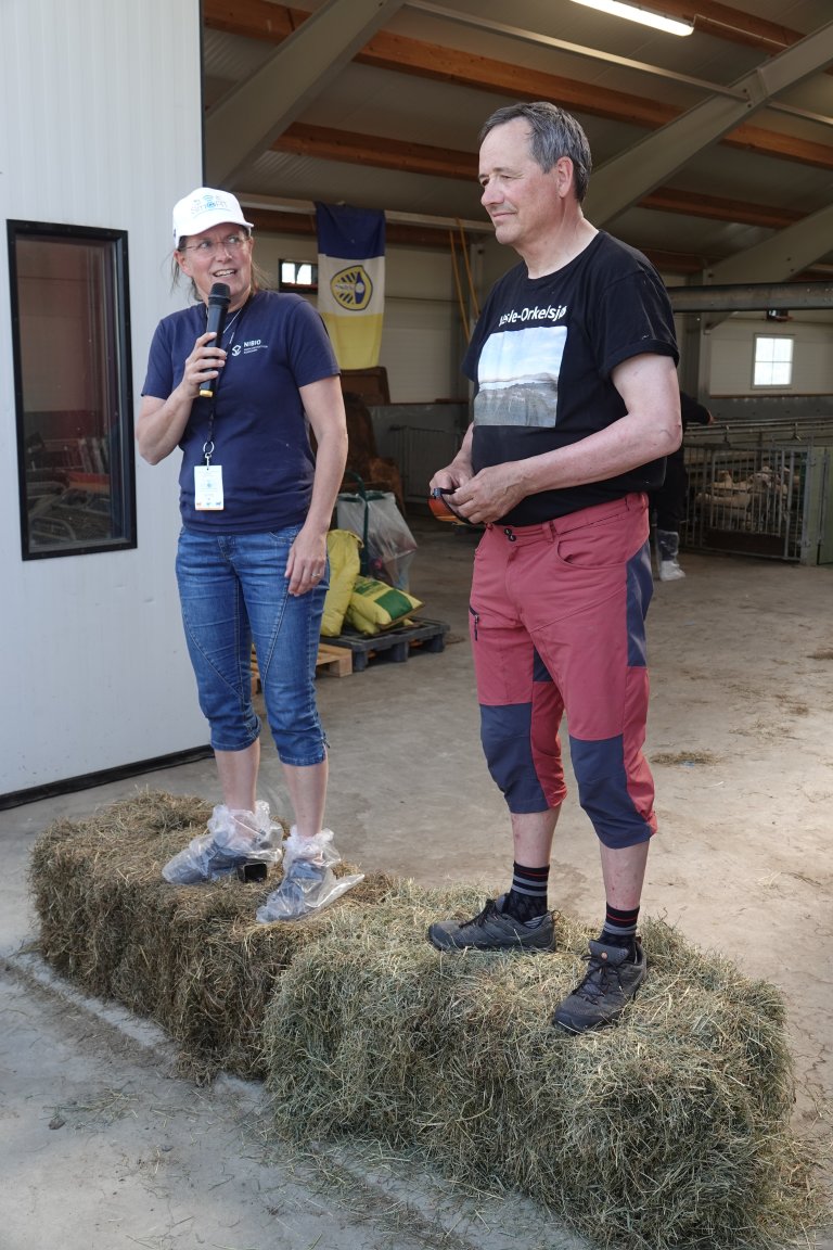 NIBIO-forsker Lise Grøva og sauebonde Nils Petter Hårstad, som raust tok imot flere busslass med gjester på bursdagen sin. Foto: Morten Günther