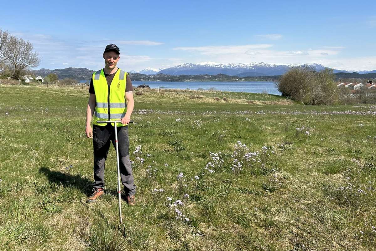 Sølve_Stiauren_Stord_2024_fotoEllingMjaavatn_cropped