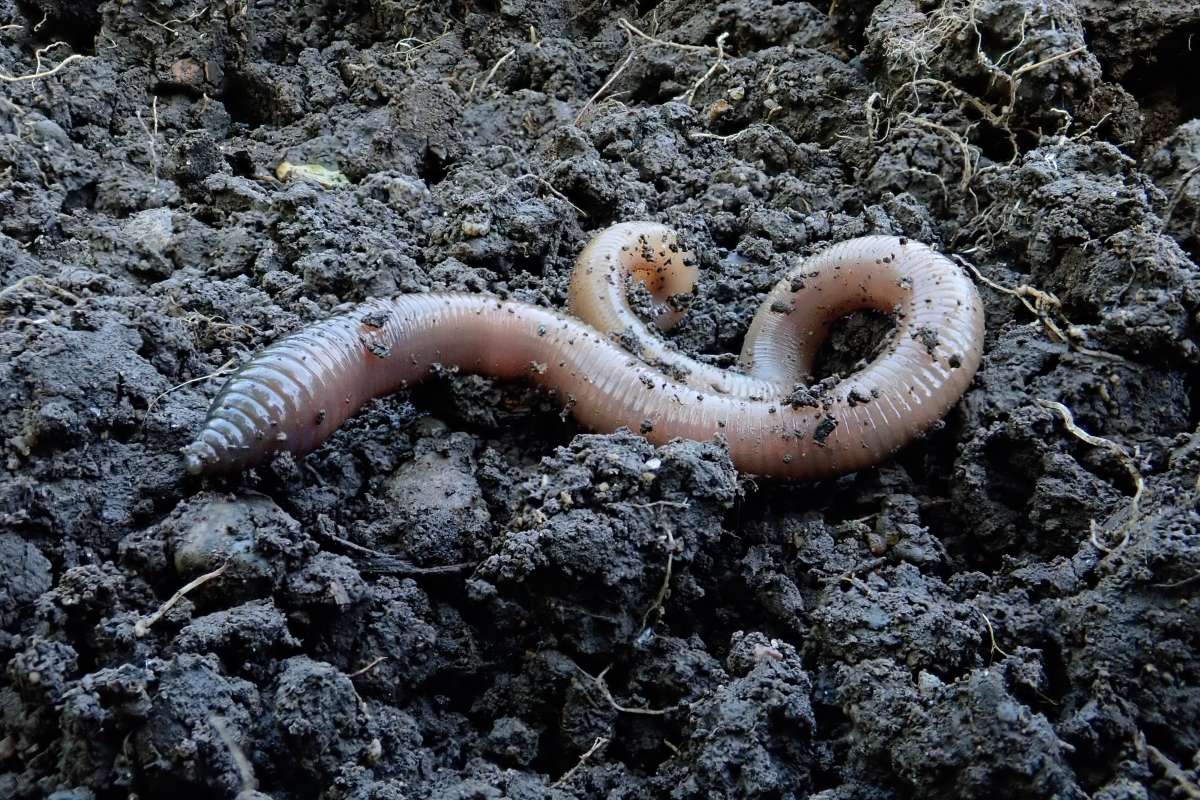 erfl-20180515-131351