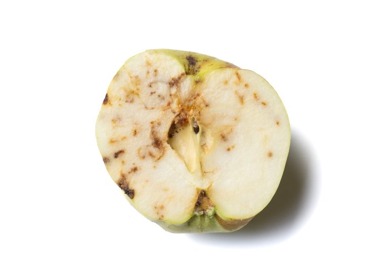 Eple angripe av rognebærmøll. Foto: Erling Fløistad