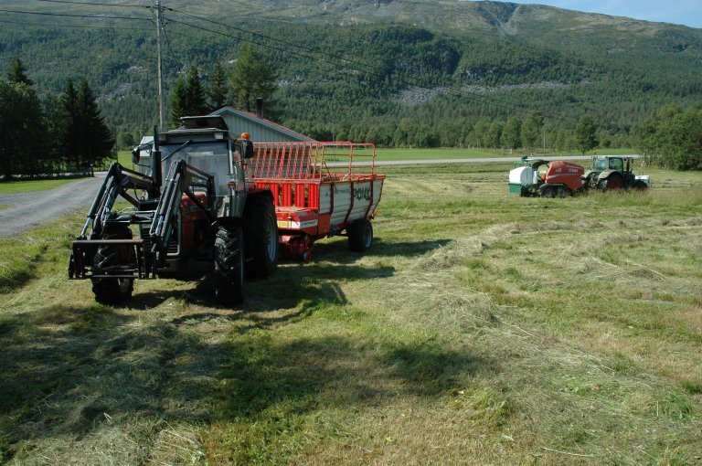 gras 5 traktorer høsting gammel eng jsch.jpg