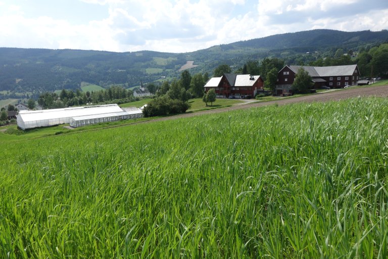 6 LØken forsøksstasjon med Volbu kirke bak  j.sch