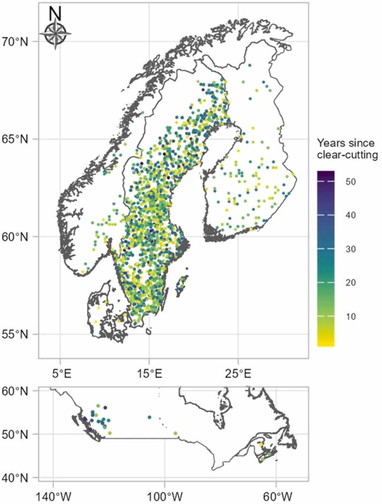 Karbonlagring etter flatehogst - innsamling.jpg