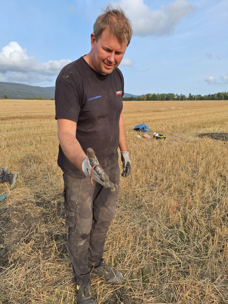 Gårdbruker Per Olav Krekling er opptatt av jordhelse og følger godt med på meitemarkbestanden på jordene sine. Feltarbeidet viste at det var mye meitemark i jorda på gården hans. Foto: Hege Ulfeng/NIBIO