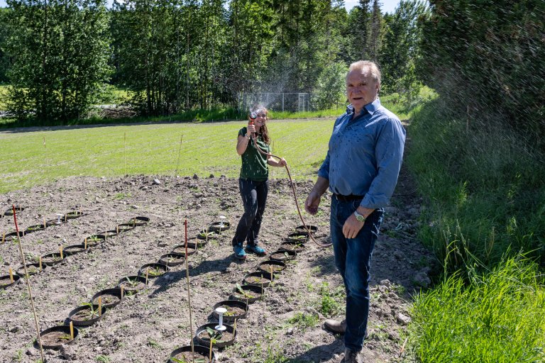 Foto: Erling Fløistad