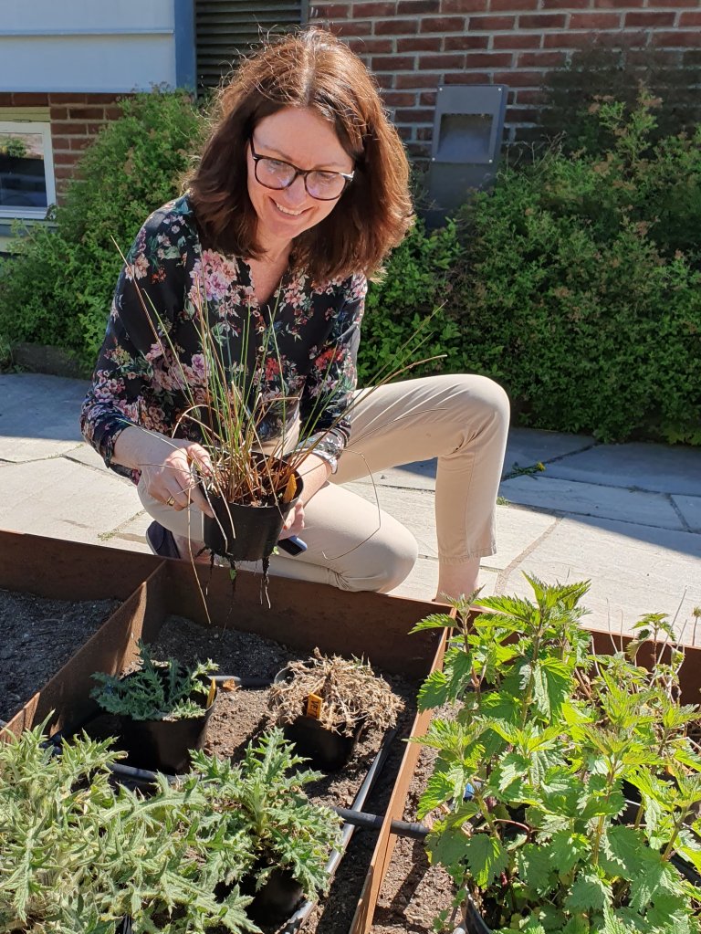 Ugrasforsker Wiktoria Kaczmarek-Derda gleder seg til den nye ugrashagen hvor hun skal dyrke frem et utvalg av artene fra de ulike biologiske ugrasgrupper. Foto: Siri Elise Dybdal