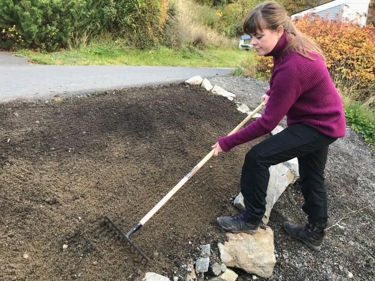 På blomstereng.no står det: Etter såing er det viktig å sørge for god kontakt mellom frø og jord. Det er nødvendig å rake / molde frøet forsiktig ned i den øverste centimeteren av jorda. Foto: Eivind Tjomsland Spilling