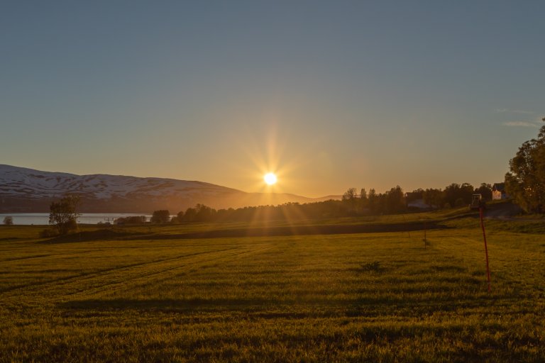 De veldig lange fotosyntetiske periodene med lys når det er midnattsol, gjør at plantene som dyrkes ved høye breddegrader utvikler seg raskere enn lenger sør. Foto: Jørgen Mølmann