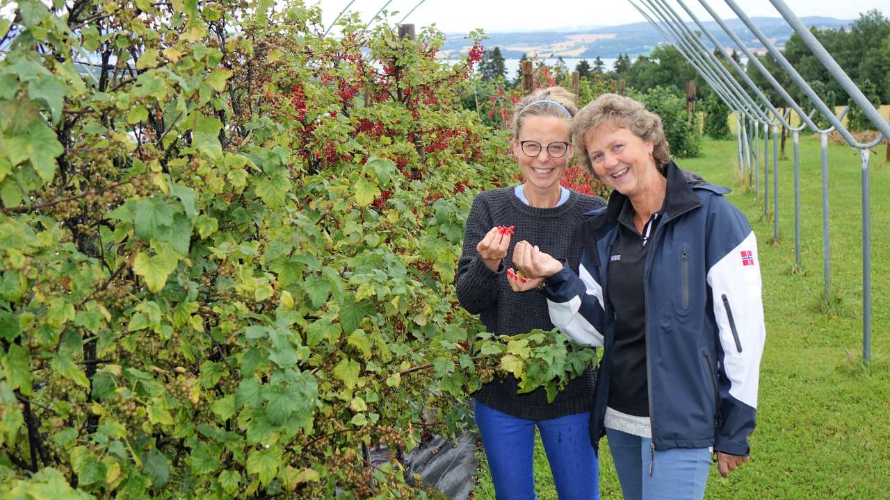 Hovedbilde Ellen Hoel Anita Sønsteby. Jon Schärer_cropped