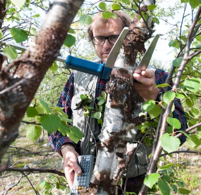 bilde 3 - registrering av trær - foto lars sandved dalen - nibio.jpg