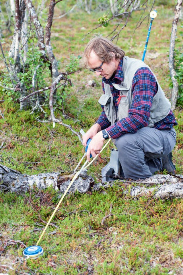 bilde 5 - registrering av liggende døde trær - foto lars sandved dalen - nibio.jpg