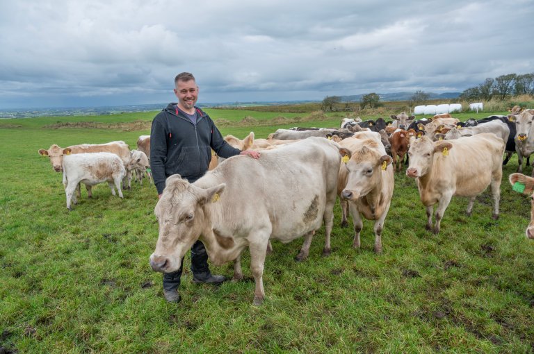 Ingve Berntsen frå Nærbø i Rogaland har satsa på rasen vestlandsk fjordfe. Foto: Erling Fløistad