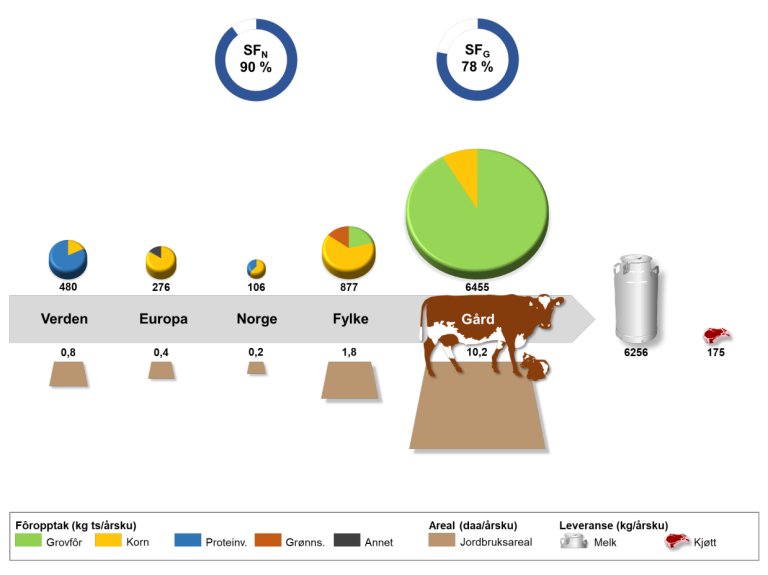 Selvforsyningsgrad basert på fôr (i kg tørrstoff (ts)) fra gården (SFG) eller fôr produsert i Norge (SFN), fôrets opprinnelse og opptak av fôr, arealbruk og leveranse av melk og kjøtt per årsku på Storborg Østre i Levanger kommune i 2017.