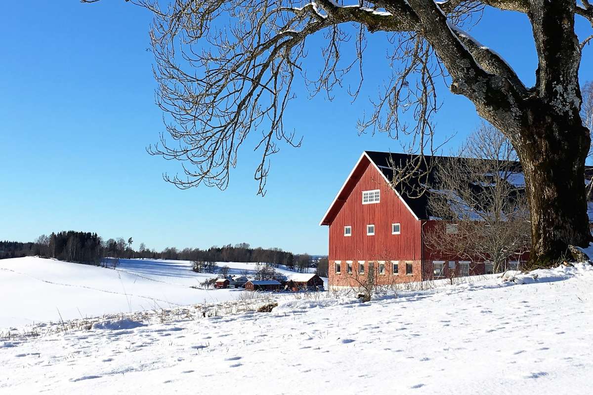 Toppfoto_Store Gryteland gard_Ski_Akershus_Foto Kjersti Kildahl