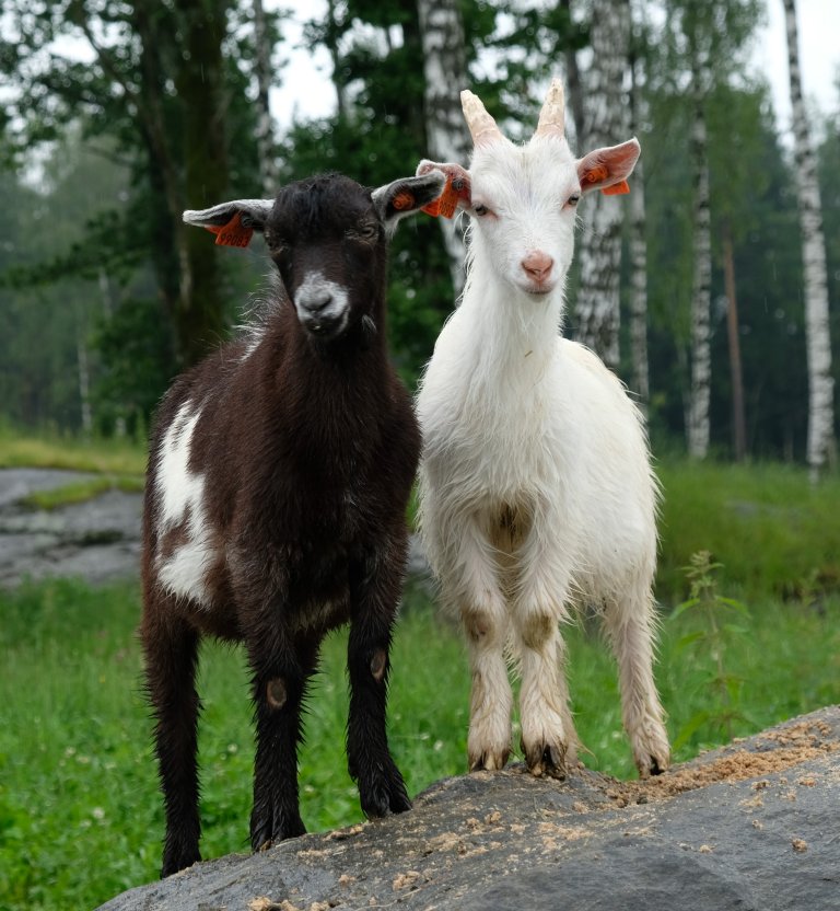 Kje på Ås_NMBU_Viken_Foto Kjersti KIldahl.jpg