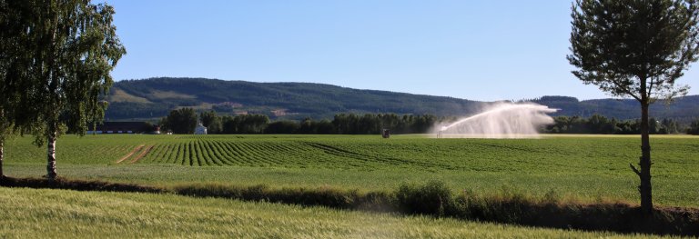 Vatning av jordbruksareal på austsida av Glomma i juni 2018_0928_Foto Kjersti Kildahl