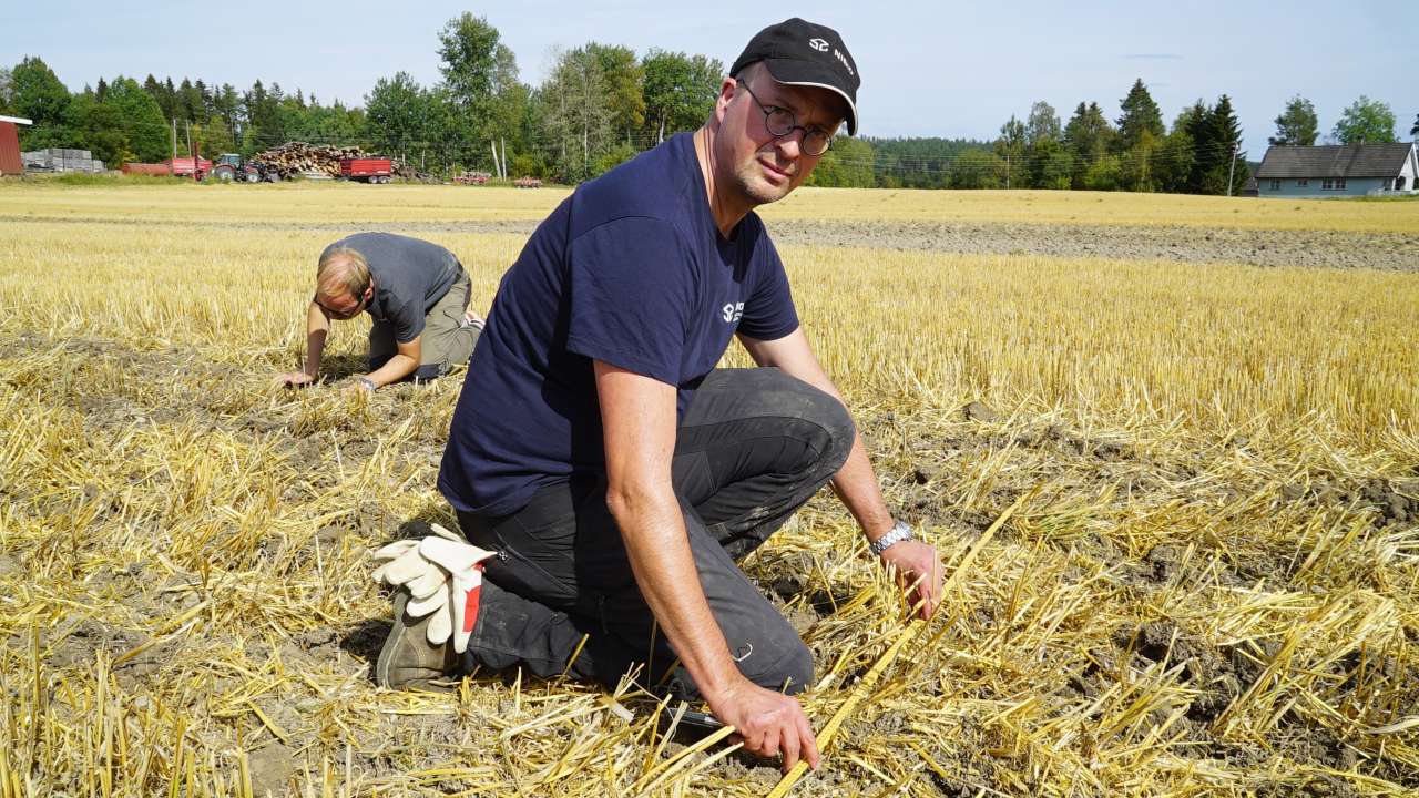 Till Seehusen vedRegistrering av halmfordeling. Bilde Espen Sjulåsen (1)_cropped