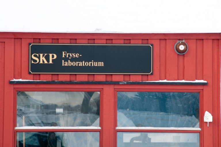Senter for klimaregulert planteforskning (SKP) har anlegg for å fryseteste planter. Egne frysere med temperaturregulering Foto: Lars Sandved Dalen