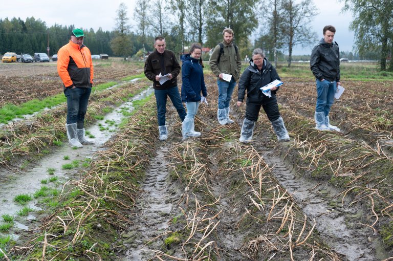 Markdag med fokus på risdreping på Vormsund. Foto: Erling Fløistad