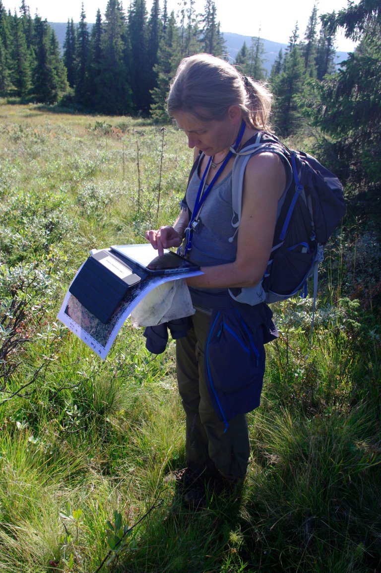 kristin daugstad (fra nibio løken) i aksjon_hs_cropped.jpg